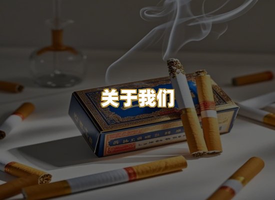 关于我们